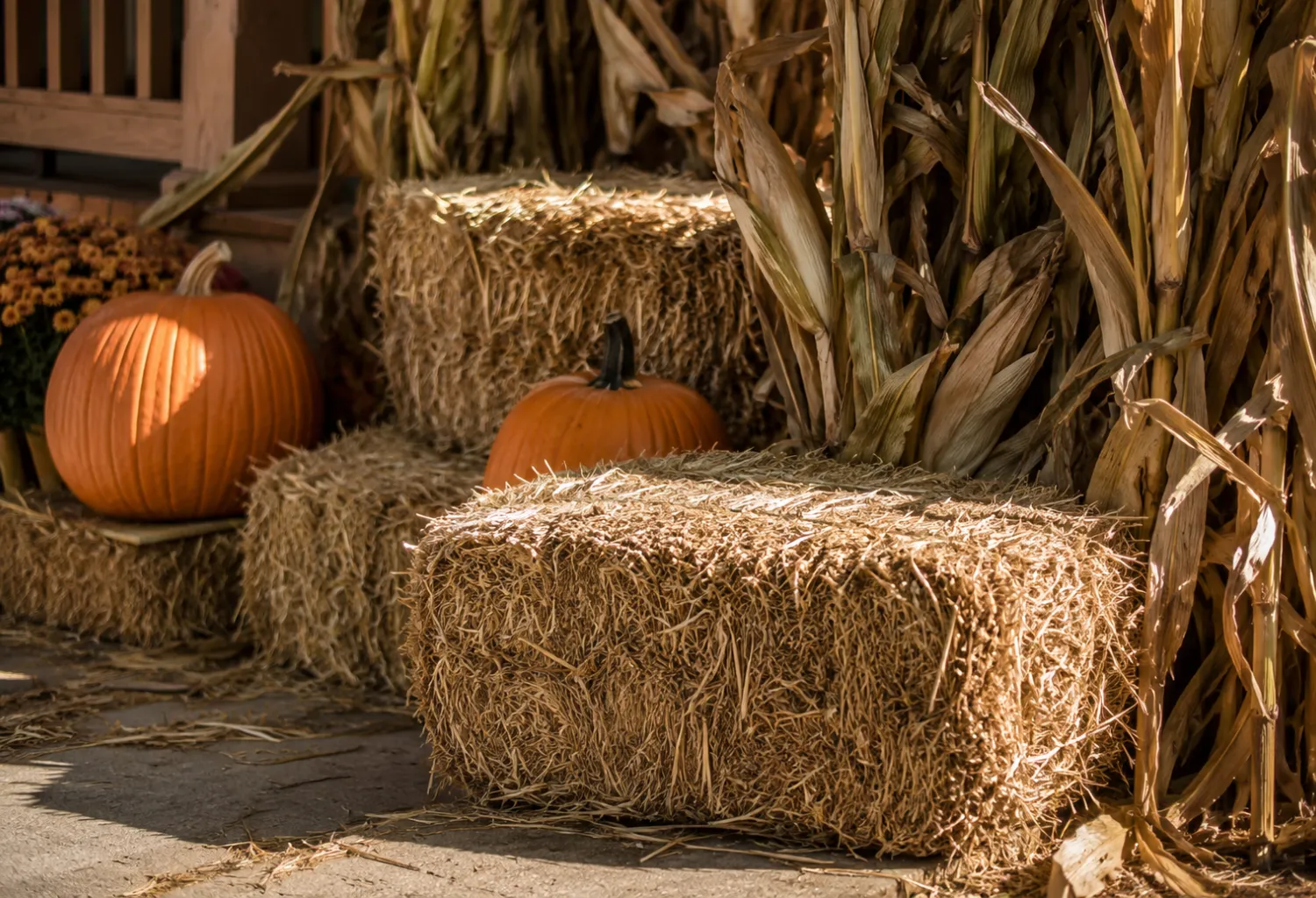 Hay Bale and Cornstalk Corner Display