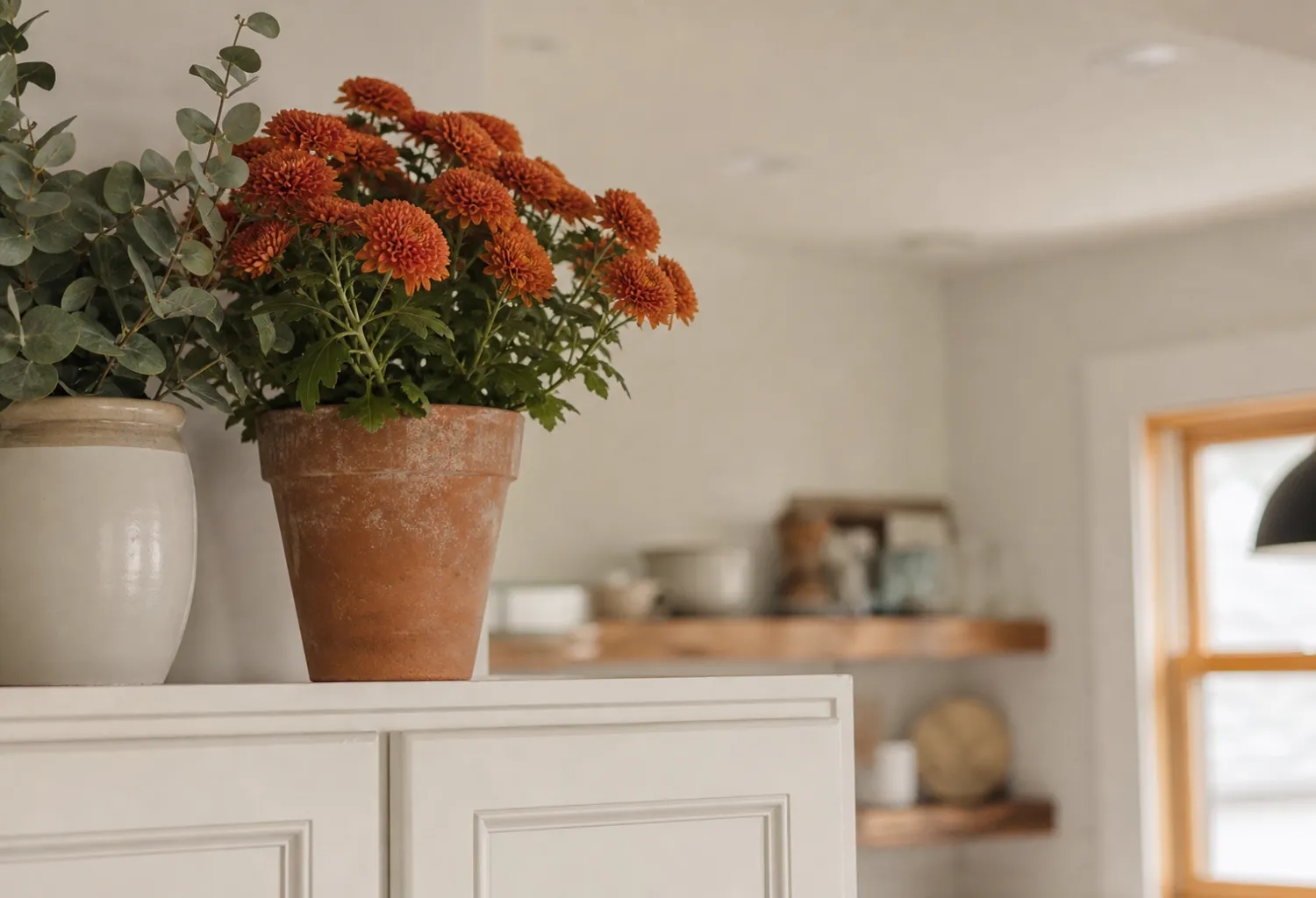 Small Potted Mums or Faux Greenery