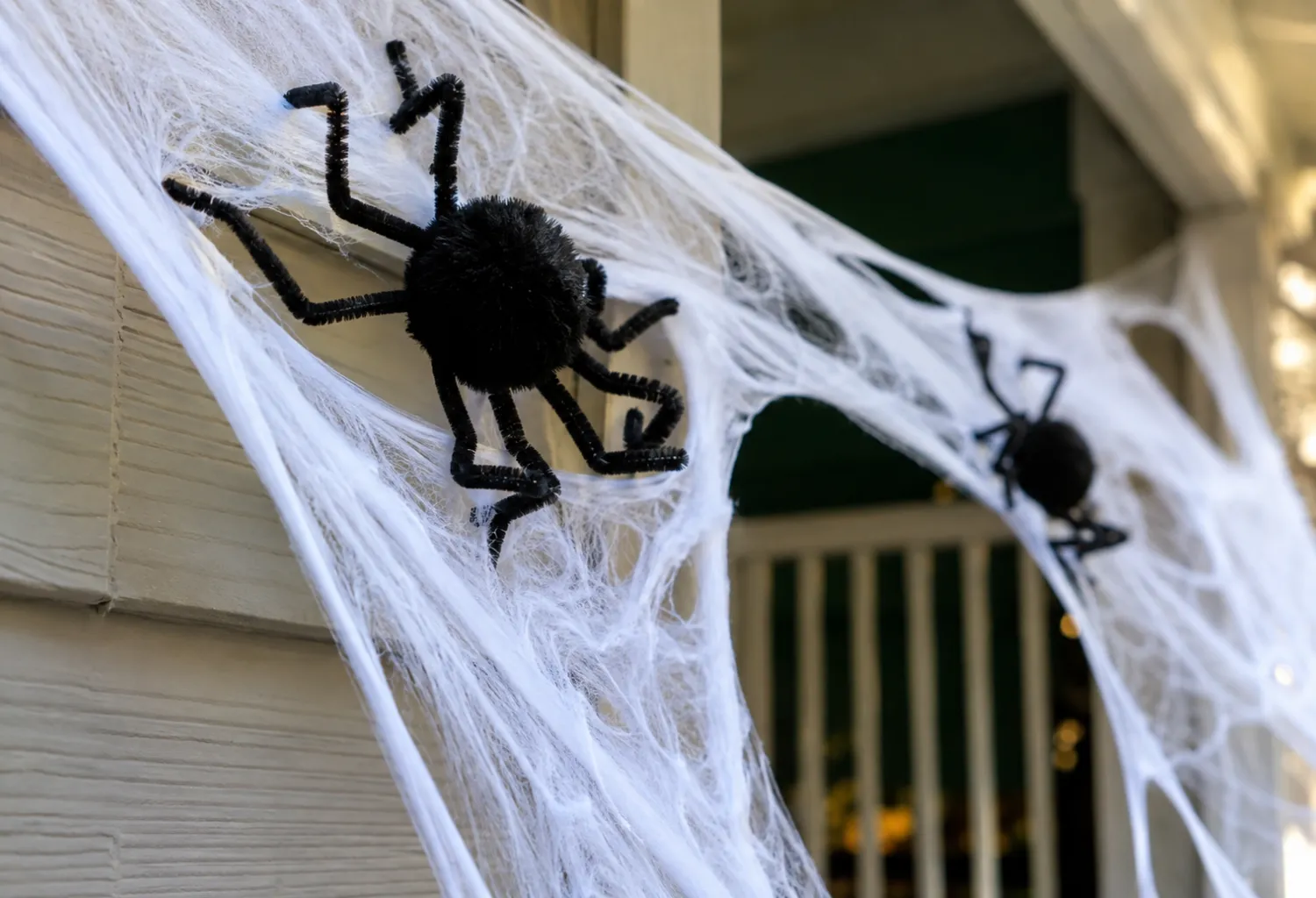Spider Web Netting With DIY Spiders